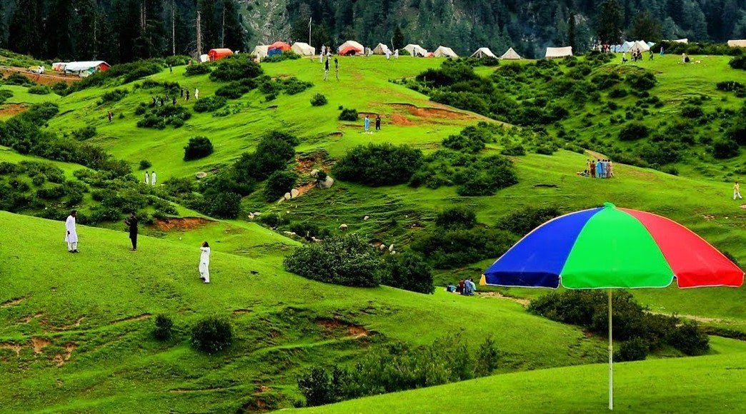 Gabin Jabba: Swat Valley’s Hidden Gem of Honey Marshes